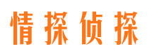 阳新市侦探公司